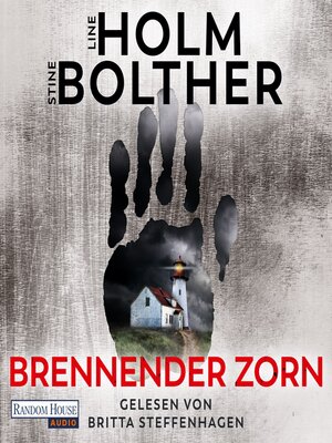 cover image of Brennender Zorn